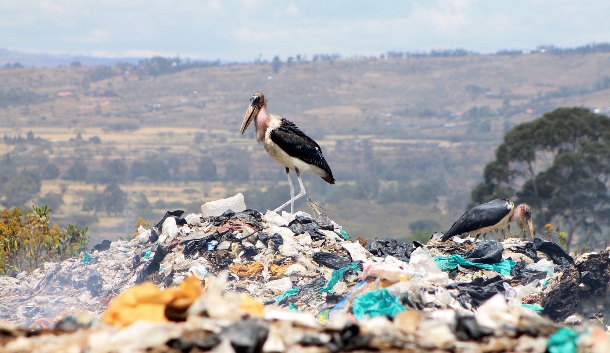 Plastic waste, Credit: James Wakibia